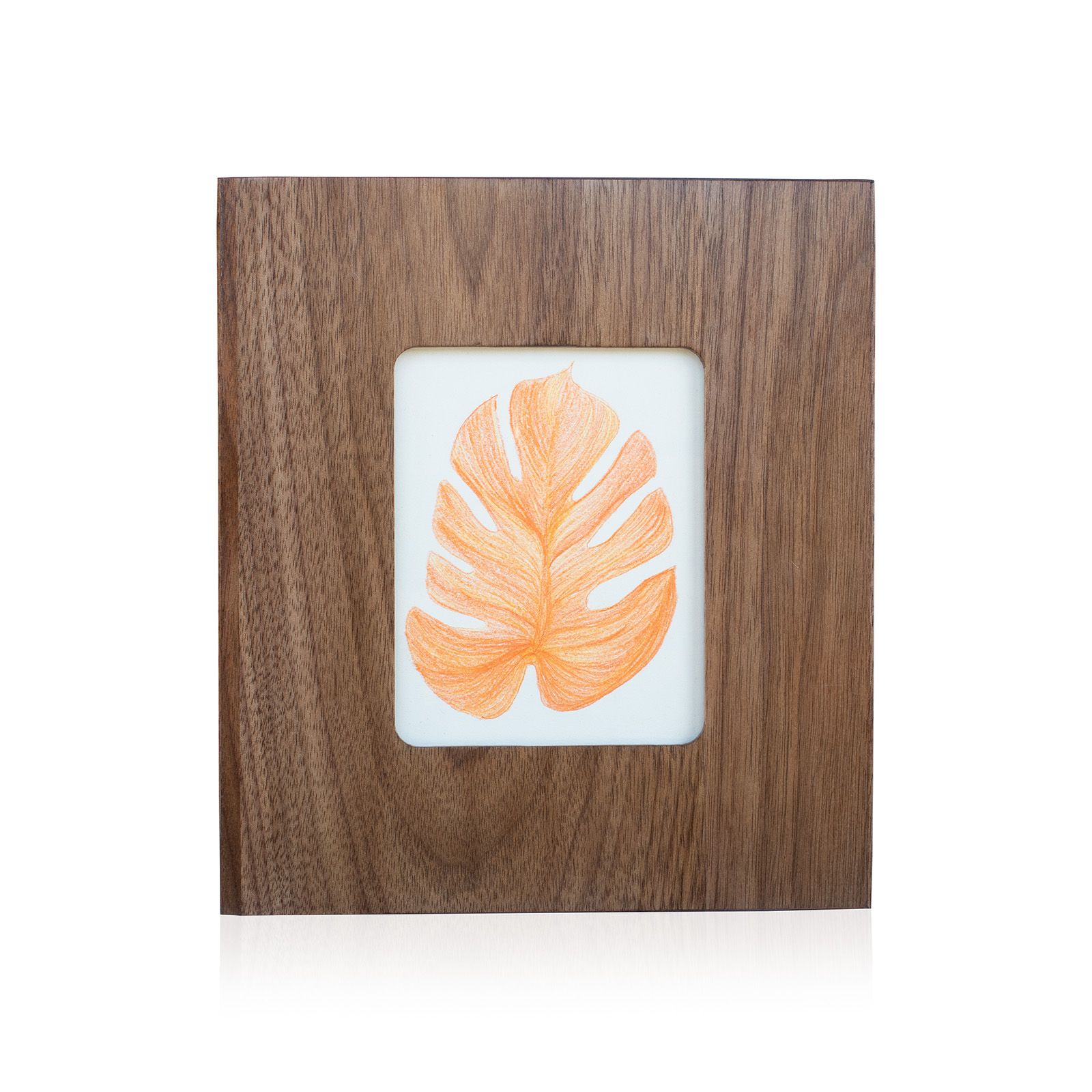 Monstera Drawing Solo 1_1